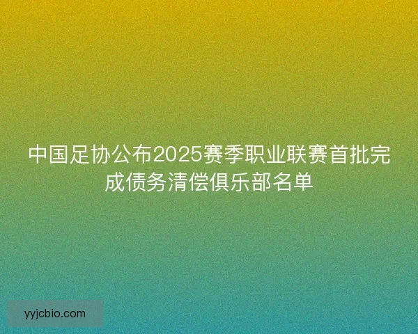 中国足协公布2025赛季职业联赛首批完成债务清偿俱乐部名单